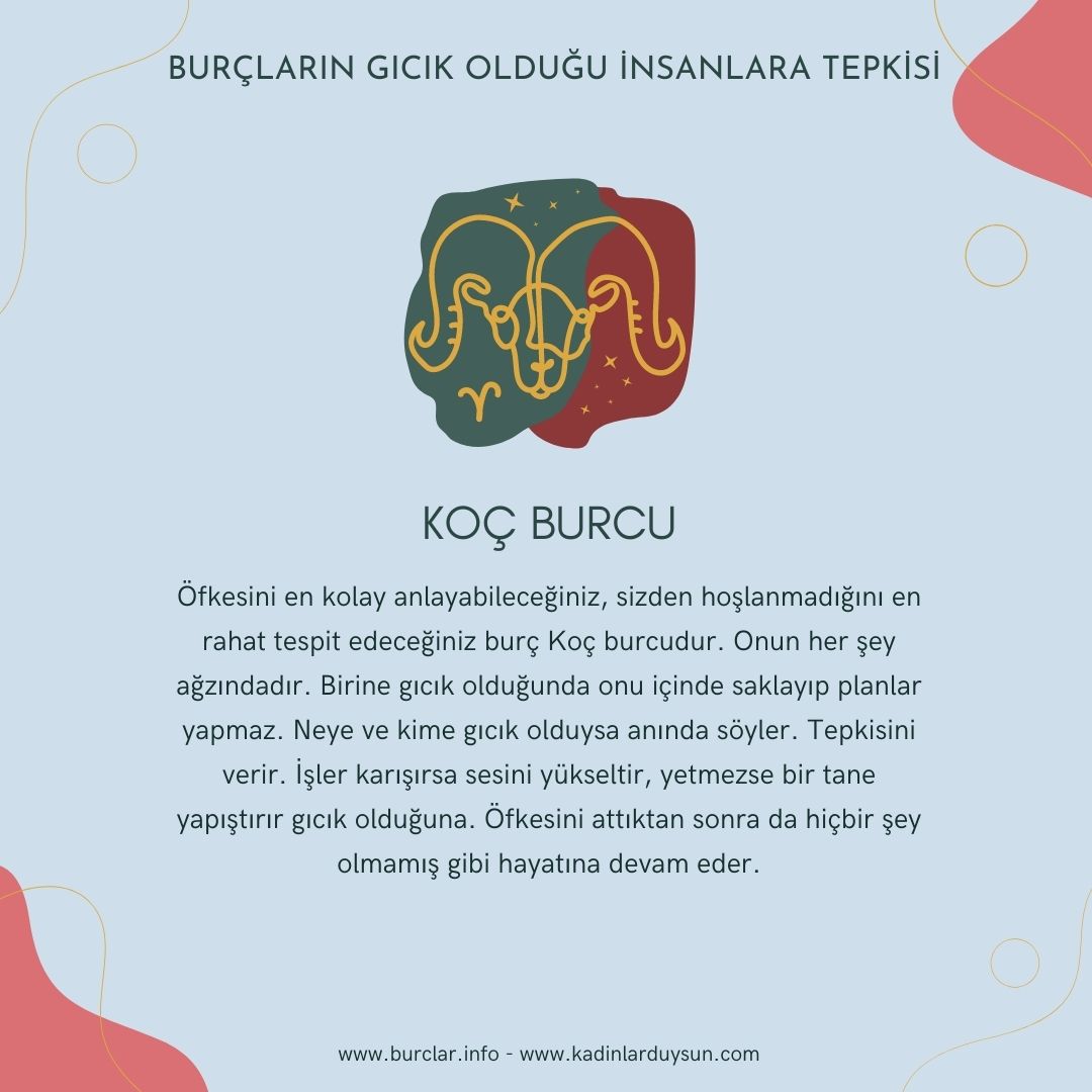 Koç Burcu (@kocburc) on Twitter photo 