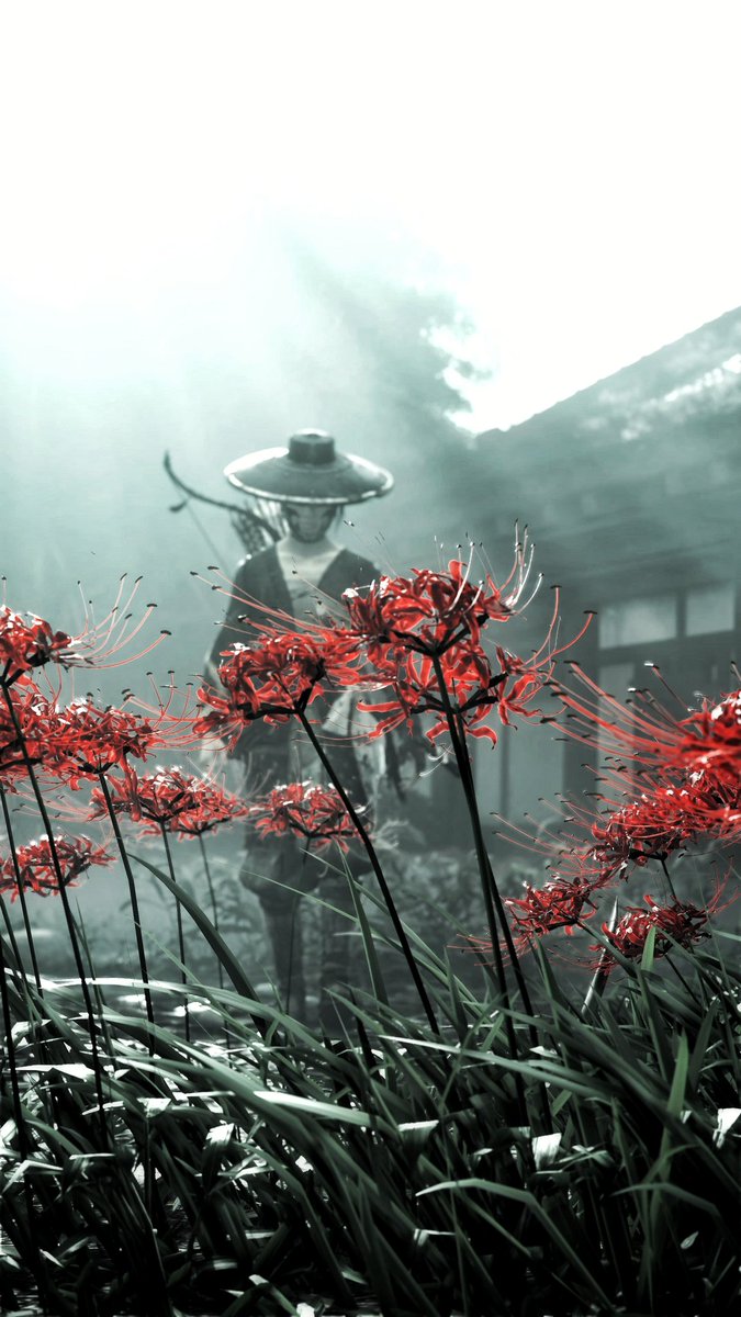 GrayFoxVP's tweet image. The red spider lilies symbolize a final goodbye.
#GhostOfYotei
#PSshare
#PSBlog
#TPMYotei
#VirtualPhotography