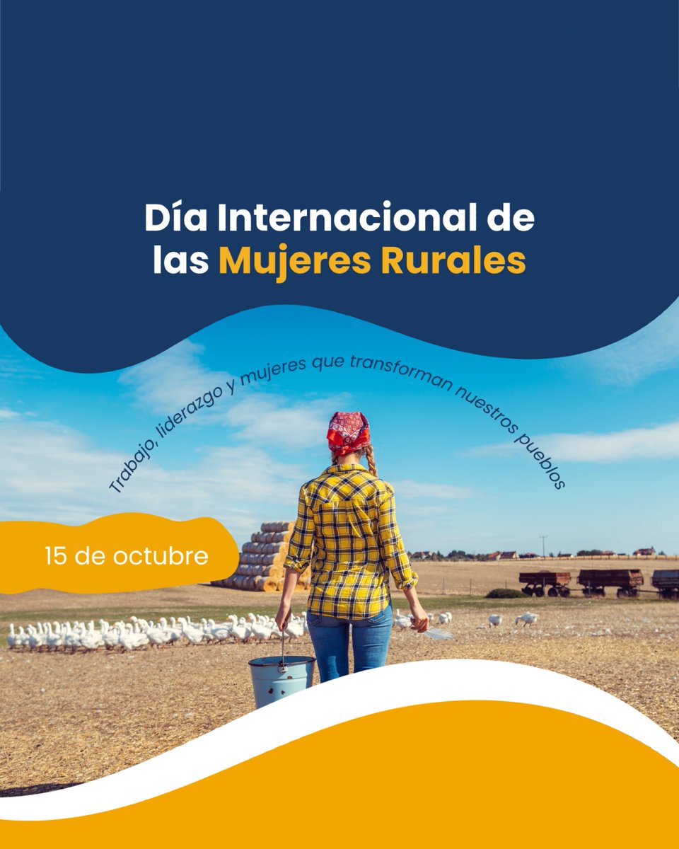 Rural Bridge tweet media