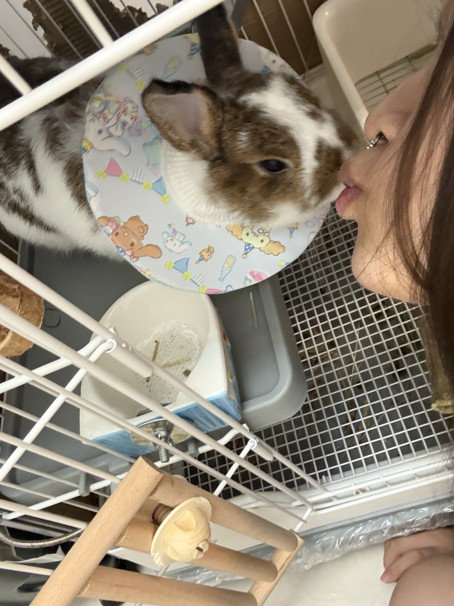 河北联考速写66分 tweet media