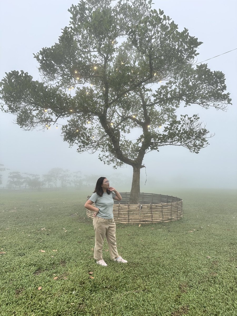 loraine_jan's tweet image. Not Tagaytay, not Baguio. This is Baracatan. Still Davao City. #lifeishere