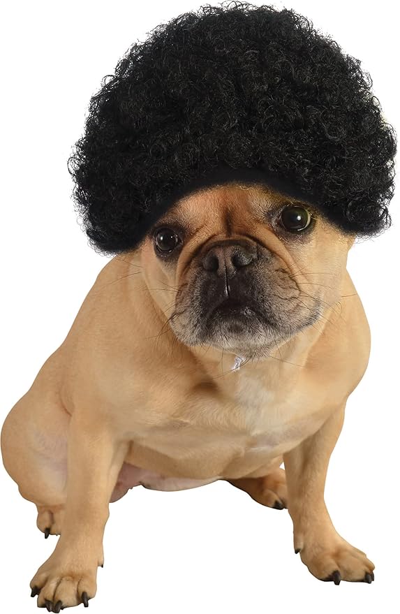 ComputerPal's tweet image. Check out this video Rubies Afro Pet Wig for Dogs or Cats #dogs #cats #afro #wig #costume from ✅🎯📽️Computer Pal Videos 🎦🎯✅ geni.us/W9QUkm #amazonfinds via @Amazon
#Halloween2025 #afro #dogsoftwitter #CatsOfTwitter #funny