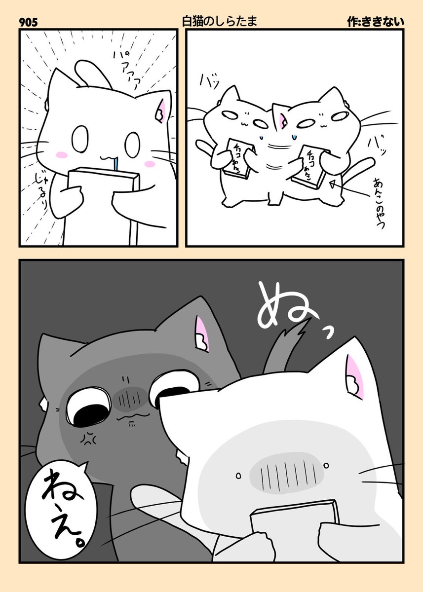 3/3】 音楽・イラスト・映像全て一人で作った猫狂い度合いが良く分かる