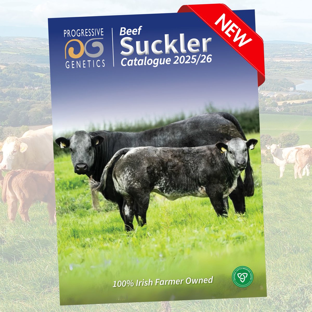 Prestige Beef tweet media