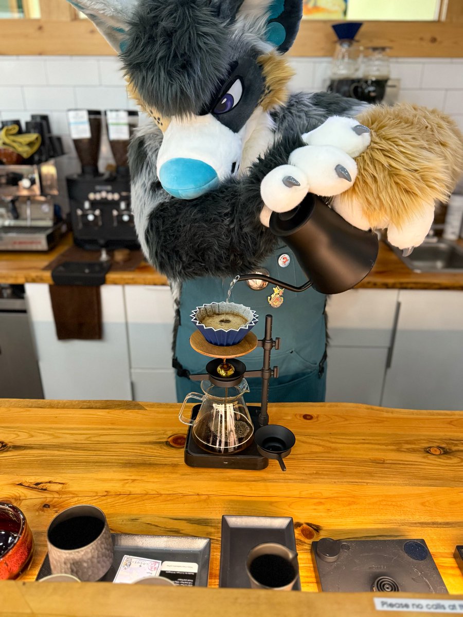 Sacred Beans Coffee (@sacred_beans_co) on Twitter photo Just a couple of days left! We hope you will attend!🐾
Join us for our first Animal Cafe 🐾 💫
📅 October 17 | 4–9 PM MT
📍 Locus Coffee Bar
☕️ Coffee, 🍵 Matcha & Good Vibes
🎨 Featuring art by <a href="/CoyoticTrouble/">Coyotic Trouble @ FWA, AC, AWU</a>
Come hang out, drink coffee, be animals!
#FursuitEveryday Just a couple of days left! We hope you will attend!🐾
Join us for our first Animal Cafe 🐾 💫
📅 October 17 | 4–9 PM MT
📍 Locus Coffee Bar
☕️ Coffee, 🍵 Matcha & Good Vibes
🎨 Featuring art by <a href="/CoyoticTrouble/">Coyotic Trouble @ FWA, AC, AWU</a>
Come hang out, drink coffee, be animals!
#FursuitEveryday