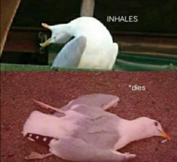 "madali lang"
👺👺👺