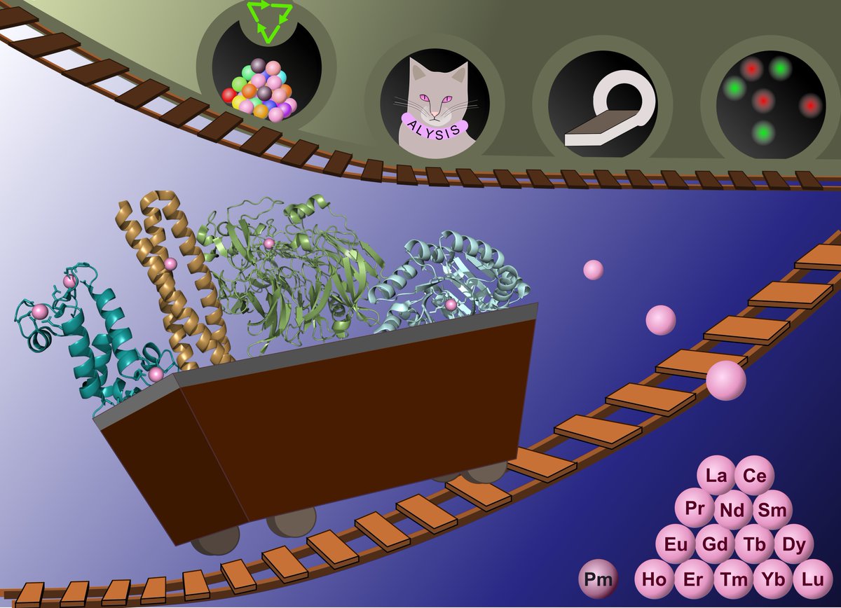 Alzheimer, Amyloids and Bioinorganic Chemistry tweet media