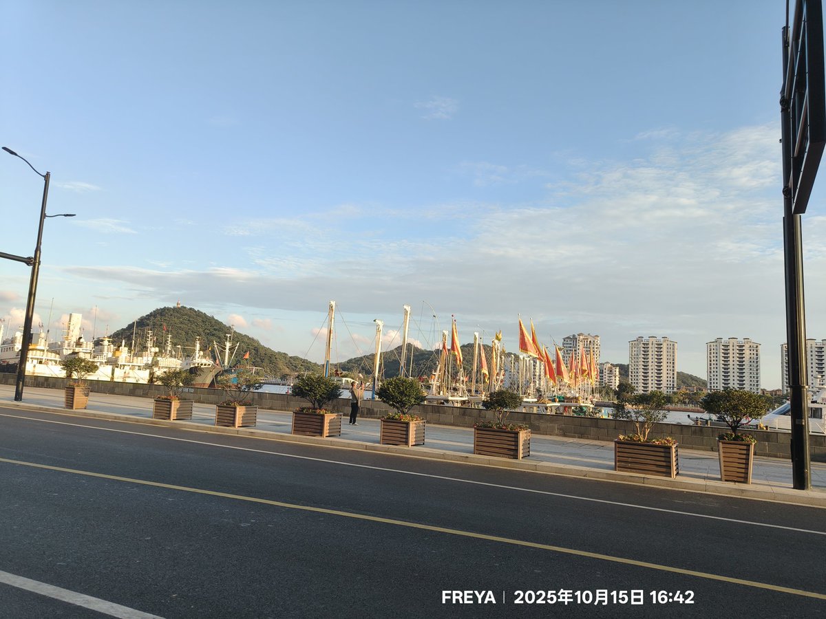 CaoFreya's tweet photo. 食惯广东口味，舟山沈家门海鲜档姜葱炒梭子蟹炒不像炒、波士顿龙虾没有芝士焗煮成这样，而且咸的要死，真的浪费食材，还是咖啡好点 https://t.co/Zmjtu1xrSN