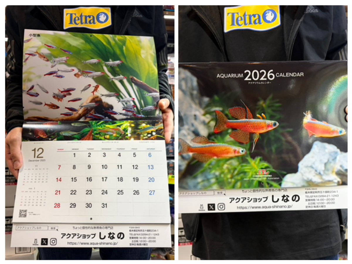 金魚ページ 伊東屋 京都店 on X