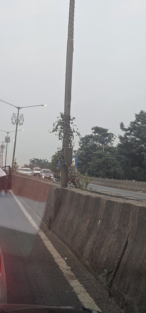 MeMumbaikar15's tweet image. Dear @MSRDCLtd @mybmc @mmrda pls check bridge condition on #eeh at ghatkopar,trees are growing and no on is bother to maintain bridges cc @CMOMaharashtra @ShelarAshish @KiritSomaiya @mieknathshinde