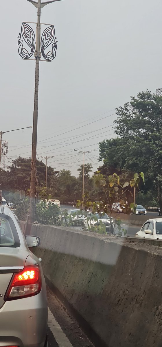 MeMumbaikar15's tweet image. Dear @MSRDCLtd @mybmc @mmrda pls check bridge condition on #eeh at ghatkopar,trees are growing and no on is bother to maintain bridges cc @CMOMaharashtra @ShelarAshish @KiritSomaiya @mieknathshinde