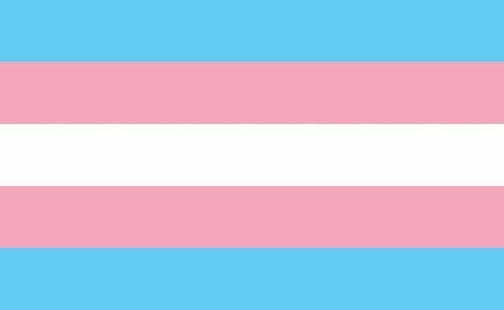 Aile yılına ve 11. Yargı Paketine karşı transların yanındayım🏳️‍⚧️ İyi ki varız, her zaman var olacağız! Yasalarınız, düzenlemeleriniz, kurumlarınız ne derse desin kimse varlığımızı engelleyemez🏳️‍⚧️