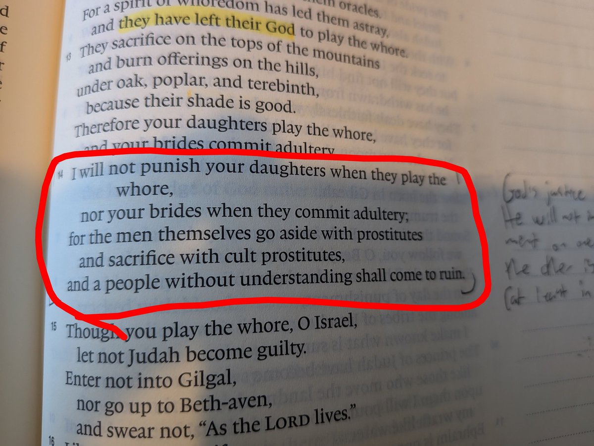 "I will not punish your daughters when they play the whore, nor your brides when they commit adultery; for the men themselves go aside with prostitutes and sacrifice with cult prostitutes, and a people without understanding shall come to ruin." - Hosea 4:14

Some in the