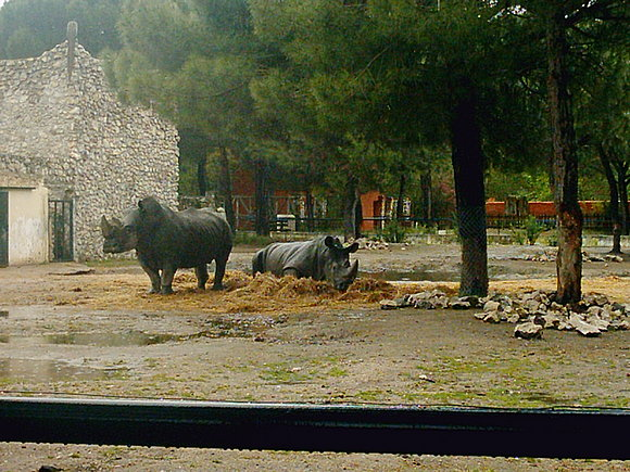 En Valladolid tuvimos Zoo: Matapozuelos.