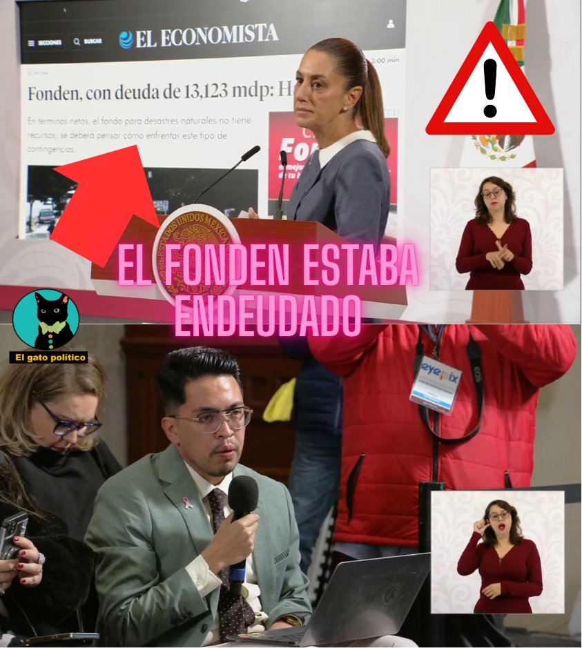 El gato político tweet media
