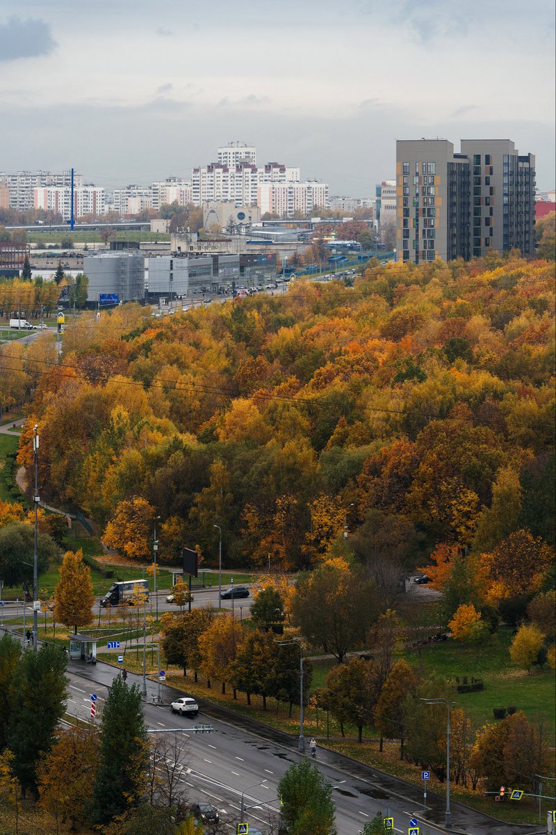 ksarzie's tweet image. Это особенно заметно с высоты, где деревья порой выше домов и могут полностью скрывать из виду целые дворы.