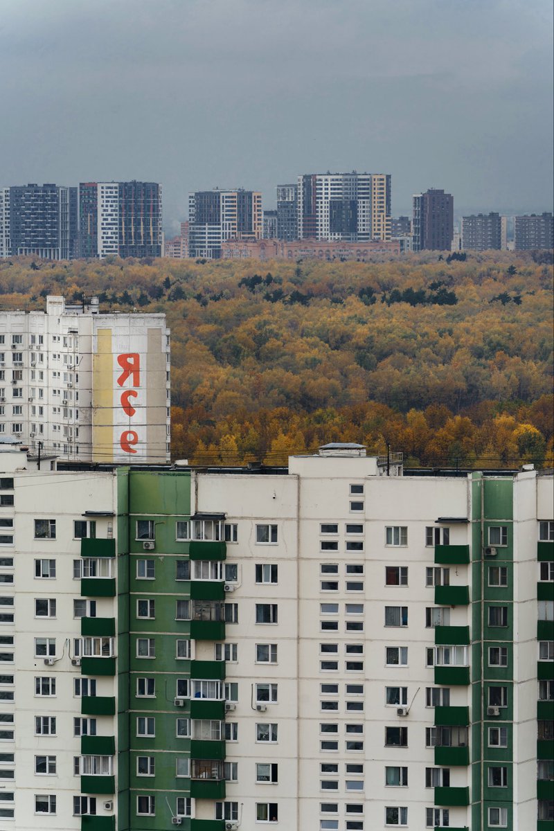 ksarzie's tweet image. Это особенно заметно с высоты, где деревья порой выше домов и могут полностью скрывать из виду целые дворы.