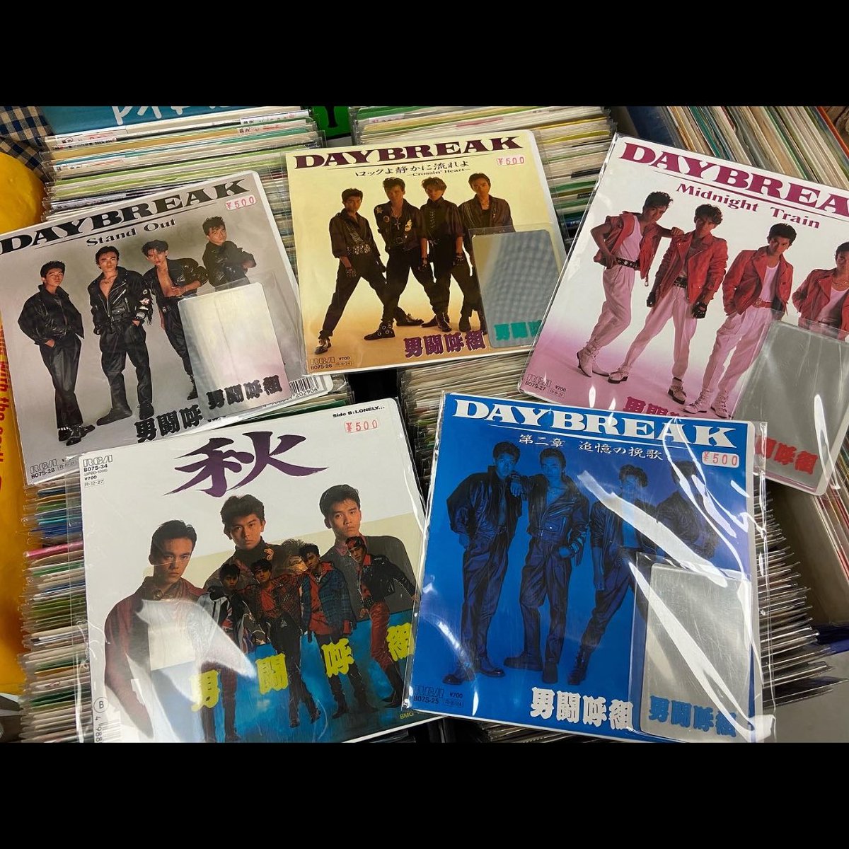 男闘呼組 - Search / X