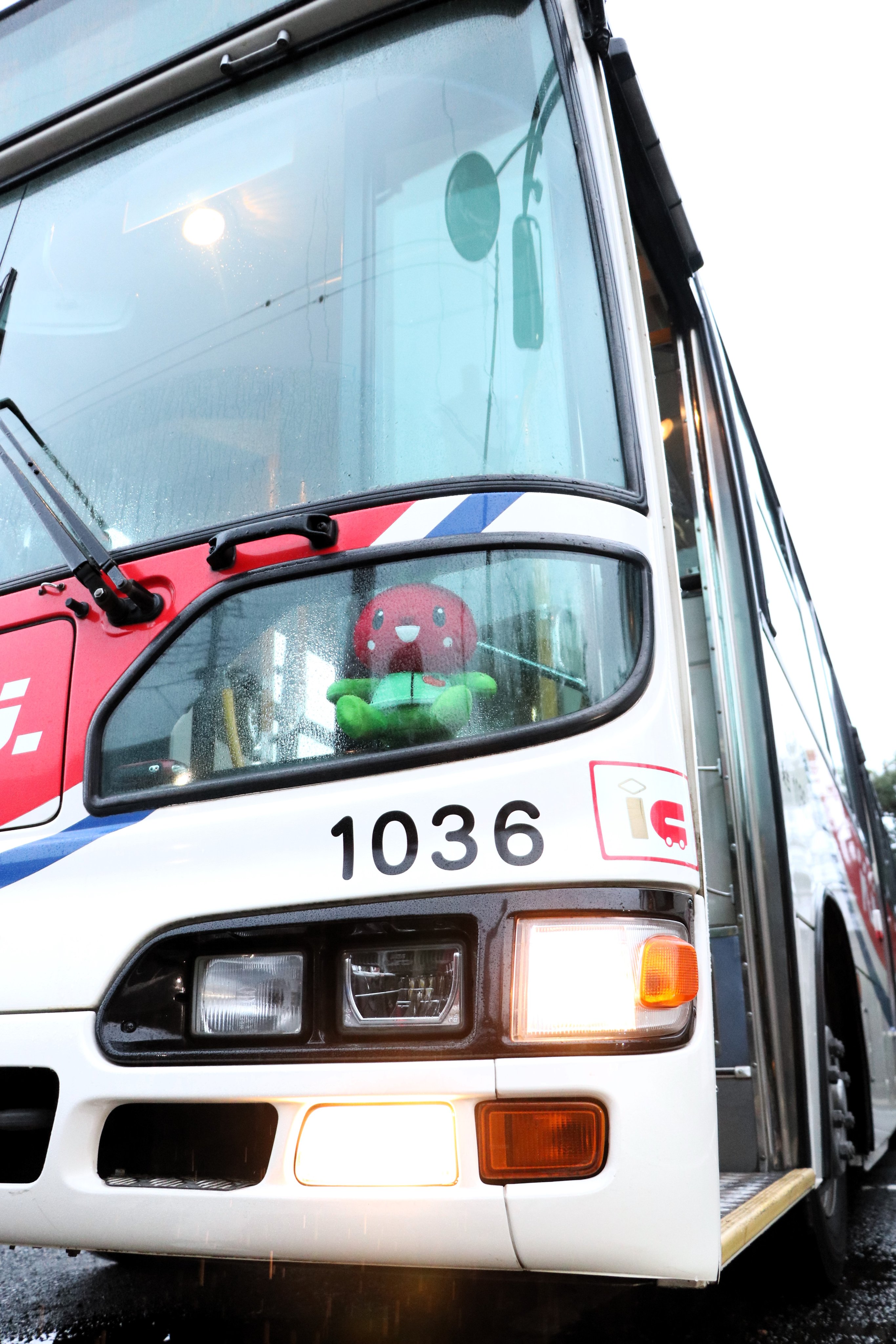 【希少】地平線への旅 はなみずき on X: 