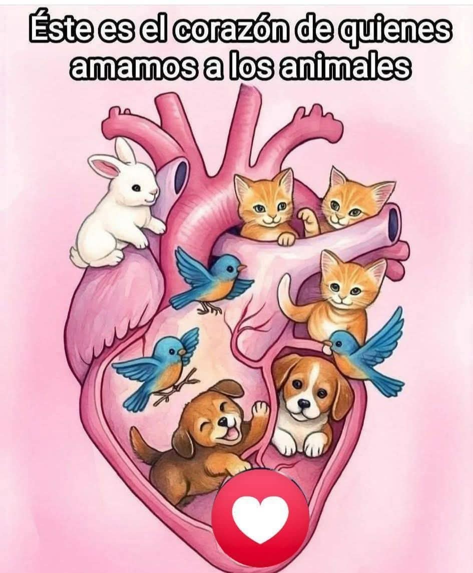 Si tienes un  corazón así, Gracias 😊🫂