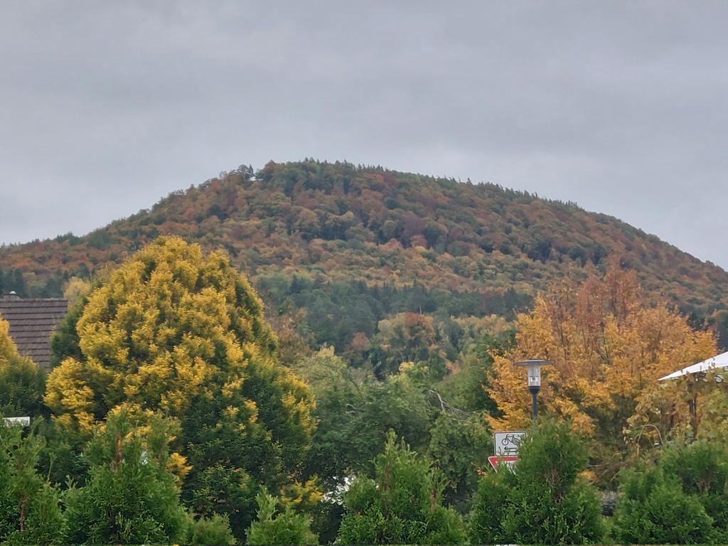 Herbst auf unserem Berg! 🥰🍂🍁