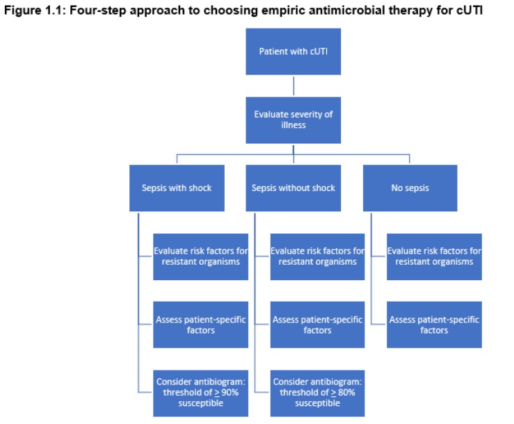 Recién puedo revisar la Guía de Práctica Clínica de la IDSA: Guía de 2025 sobre el Manejo y Tratamiento de las Infecciones Complicadas del Tracto Urinario, con nuevas definiciones y recomendaciones de tratamiento.idsociety.org/practice-guide… Interesante.