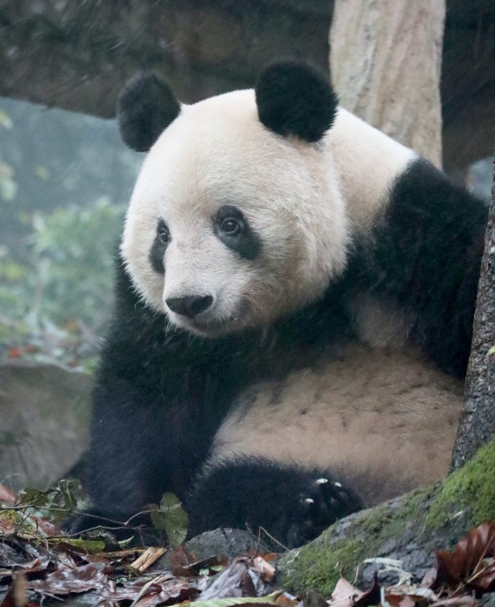 ミーシャン❤️ ミチ (@mi0306chi) • Instagram photos and videos