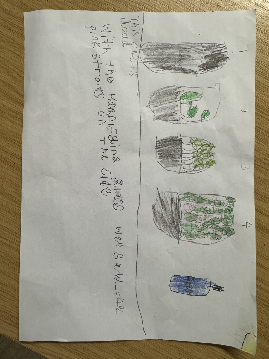 Rotherhithe Primary School tweet media