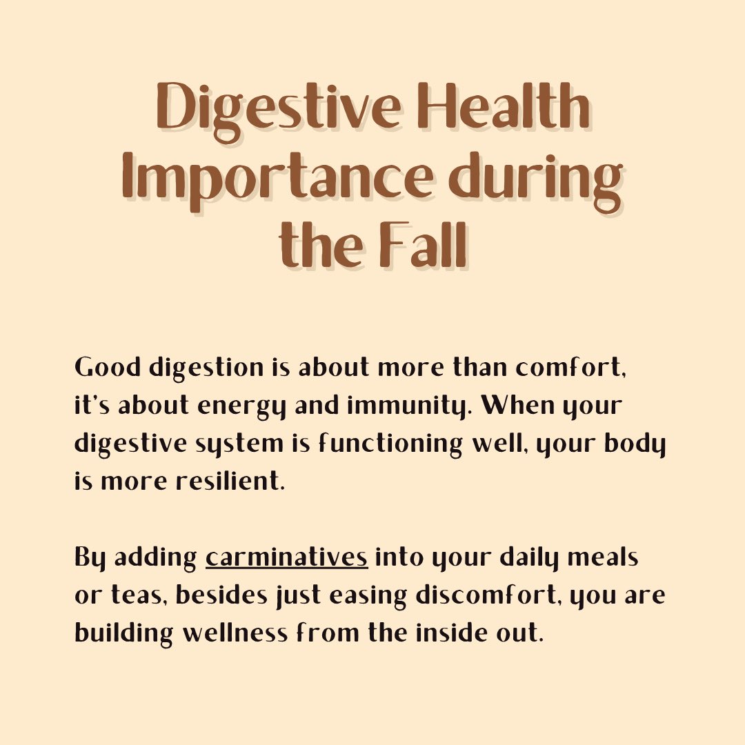 Chillsworld_'s tweet image. heres some herbal education on digestive support for fall! gonna work on my substack post thatll go more in depth &amp;amp; share as soon as i can 🫶🏾 

#healwithchill #fallherbalism #digestivesupport