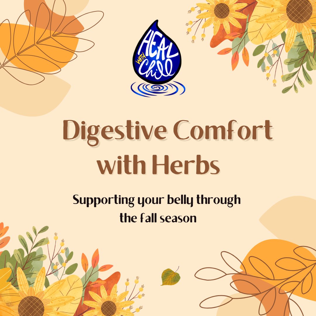 Chillsworld_'s tweet image. heres some herbal education on digestive support for fall! gonna work on my substack post thatll go more in depth &amp;amp; share as soon as i can 🫶🏾 

#healwithchill #fallherbalism #digestivesupport