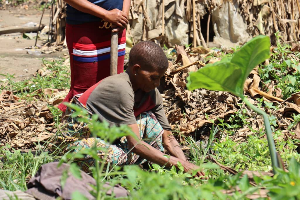 Educating through the land, sowing for tomorrow.
In rural areas of the Democratic Republic of Congo, rural and indigenous women are actively involved in conservation and restoration using ancestral knowledge. Here, the land is at once a school, a heritage, and a hope for autonomy