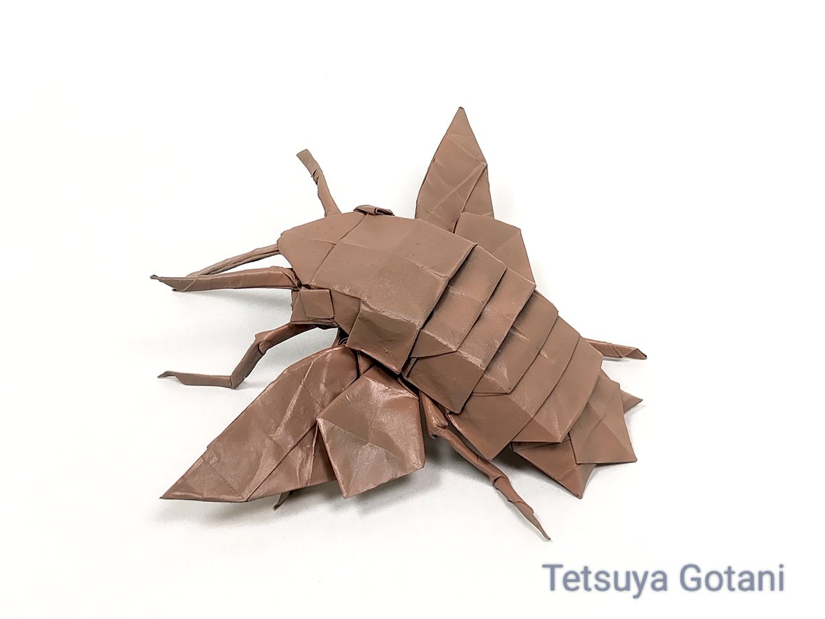 gtetuya2's tweet image. ホウジャク : 合谷哲哉
変わった昆虫知らないかと友人に聞いて初めて知った昆虫です。蛾なのに昼間に活動しホバリングしながら長い口で花の蜜を吸うそうです。