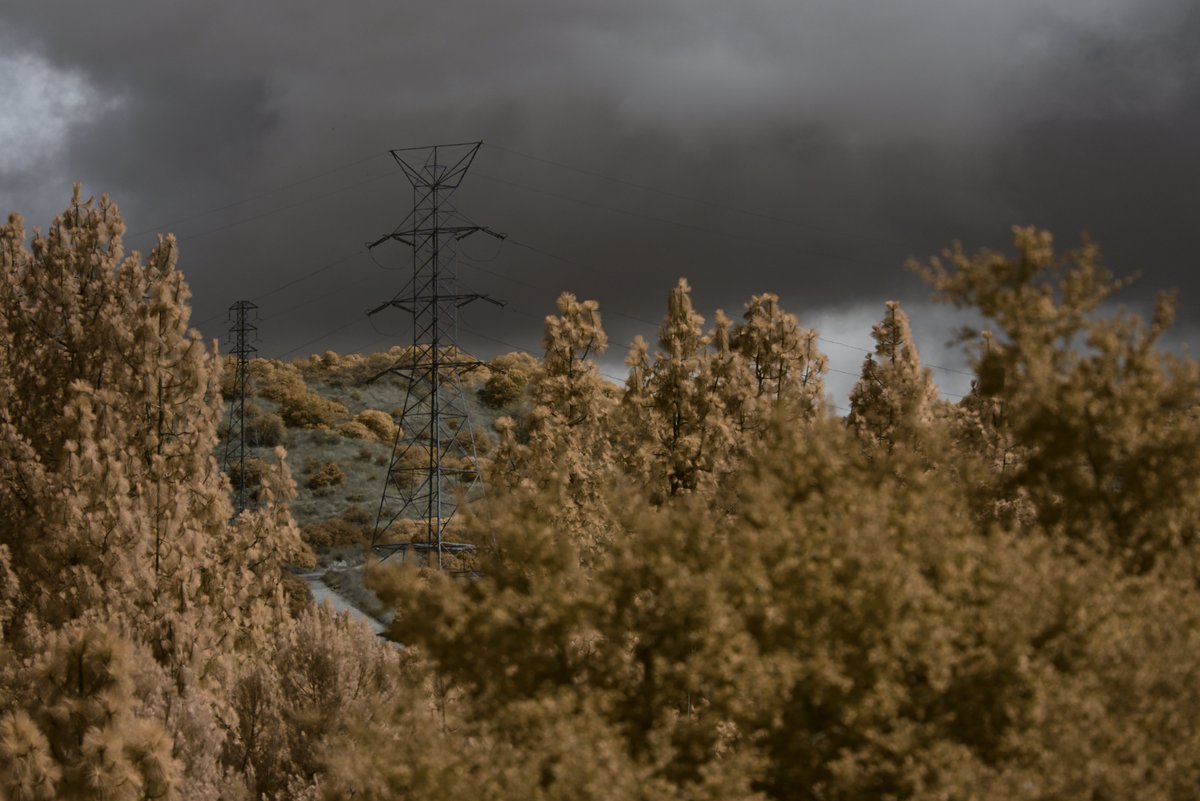 Austin_Crum_B's tweet image. An infrared image. Captured with a 590nm filter.
#infrared #photo #photography