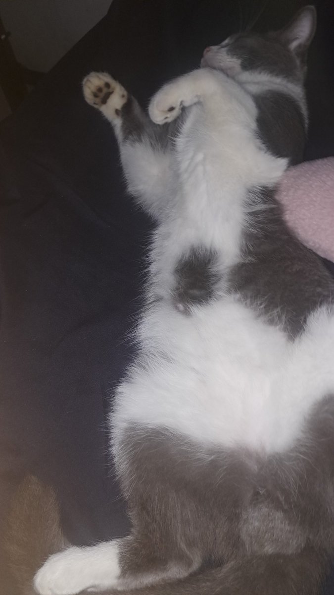 Zzzzz
