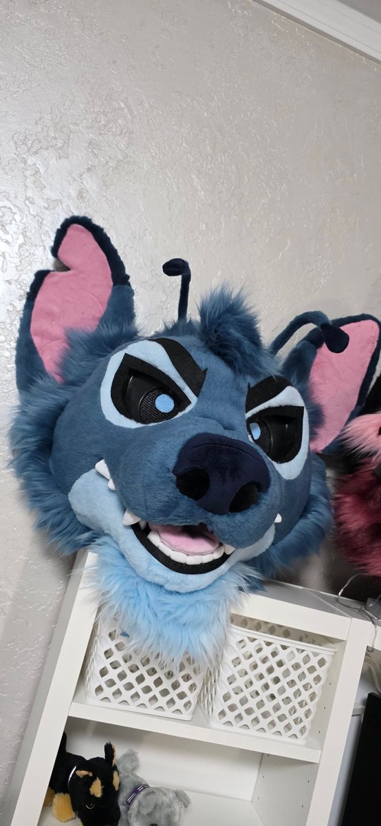 Would anyone wanna buy this fella if I put him up for sale? 🌌✨️