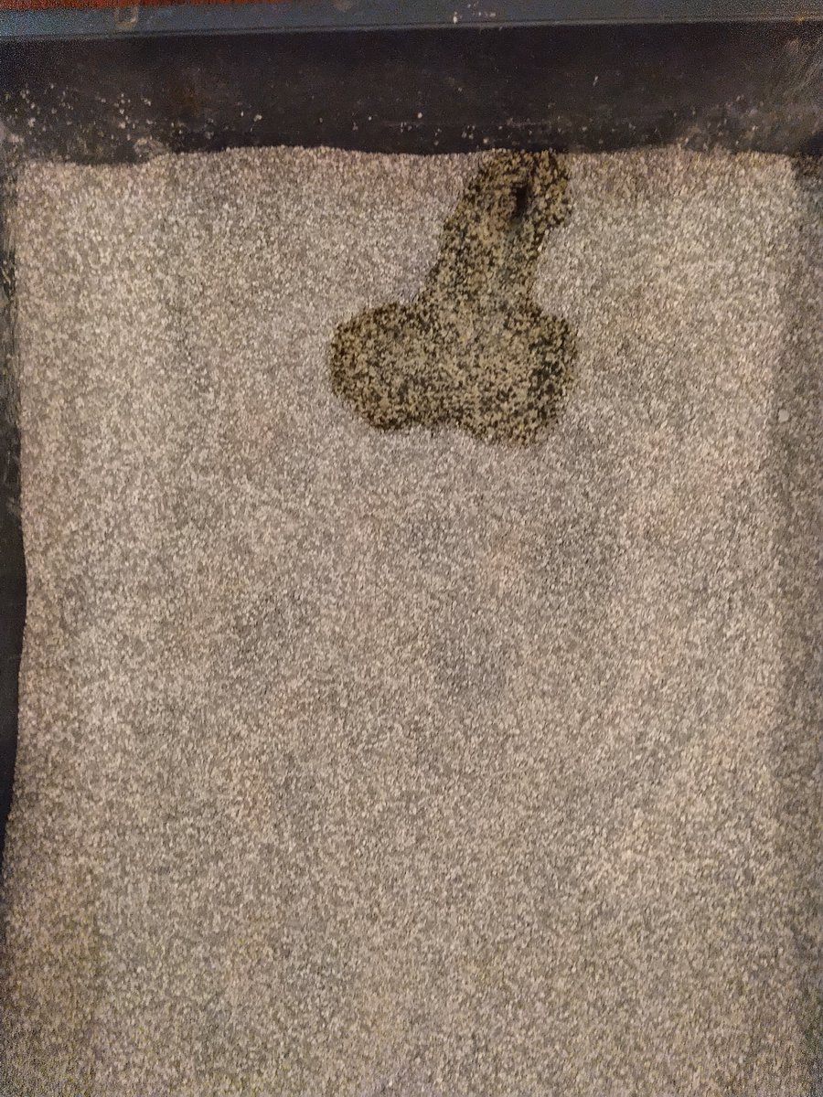 csgbbb's tweet image. Ok, so, my cat&apos;s behavior has gotten a bit out of hand.
I&apos;m not sure what I did wrong or right.