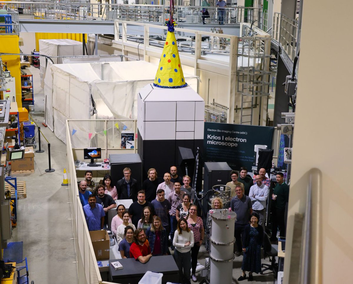 Charlotte Crowe tweet media