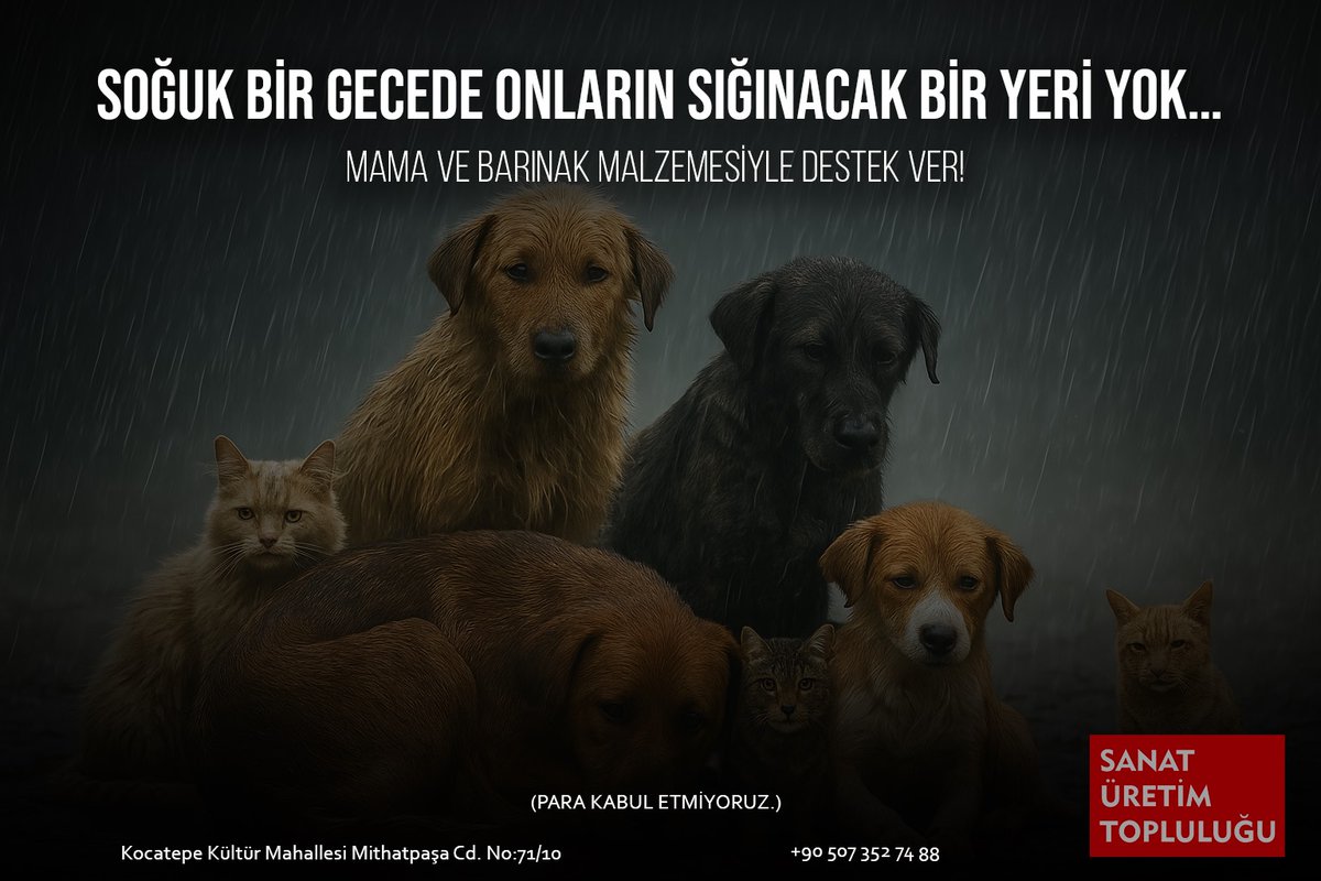 <a href="/zekikayahan/">Zeki Kayahan Coşkun</a> <a href="/matrax/">MATRAX</a> <a href="/kafaradyo/">Kafa Radyo</a> Merhaba, Zeki! Ankara Sanat Üretim Topluluğu olarak sokak hayvanlarımız için bir yardım kampanyası başlattık. Para kesinlikle kabul etmiyoruz. Mama yada barınak malzemesi gönderilmesini talep ediyoruz. Sizden istirhamımız hayvanseverlerle paylaşmanız. İyilikle kalın. #matrax