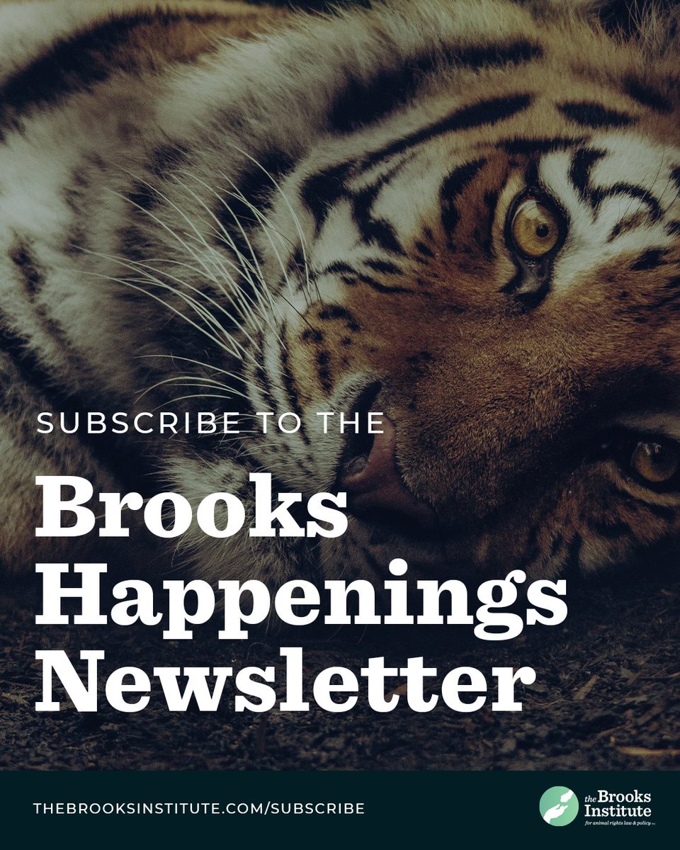 The Brooks Institute tweet media