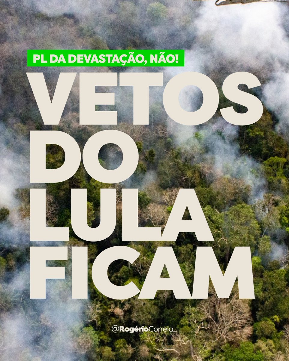 Joanerp tweet media