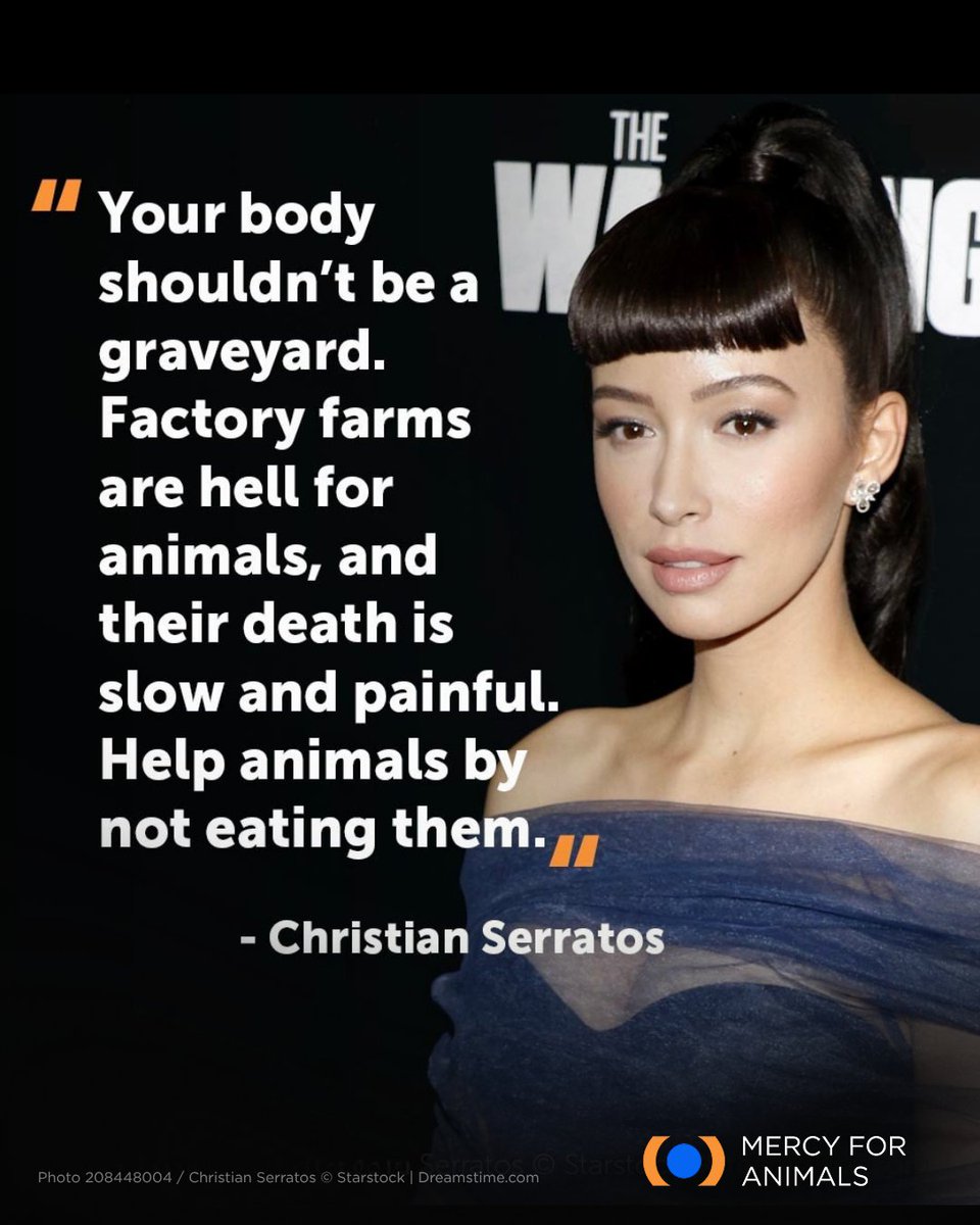 MercyForAnimals's tweet image. &quot;Your body shouldn&apos;t be a graveyard.&quot;

Actor Christian Serratos is telling it like it is!  Animals raised for food typically live miserable lives, but we all have the power to help them. This Halloween weekend, take a stand against cruelty by choosing plant-based meals.