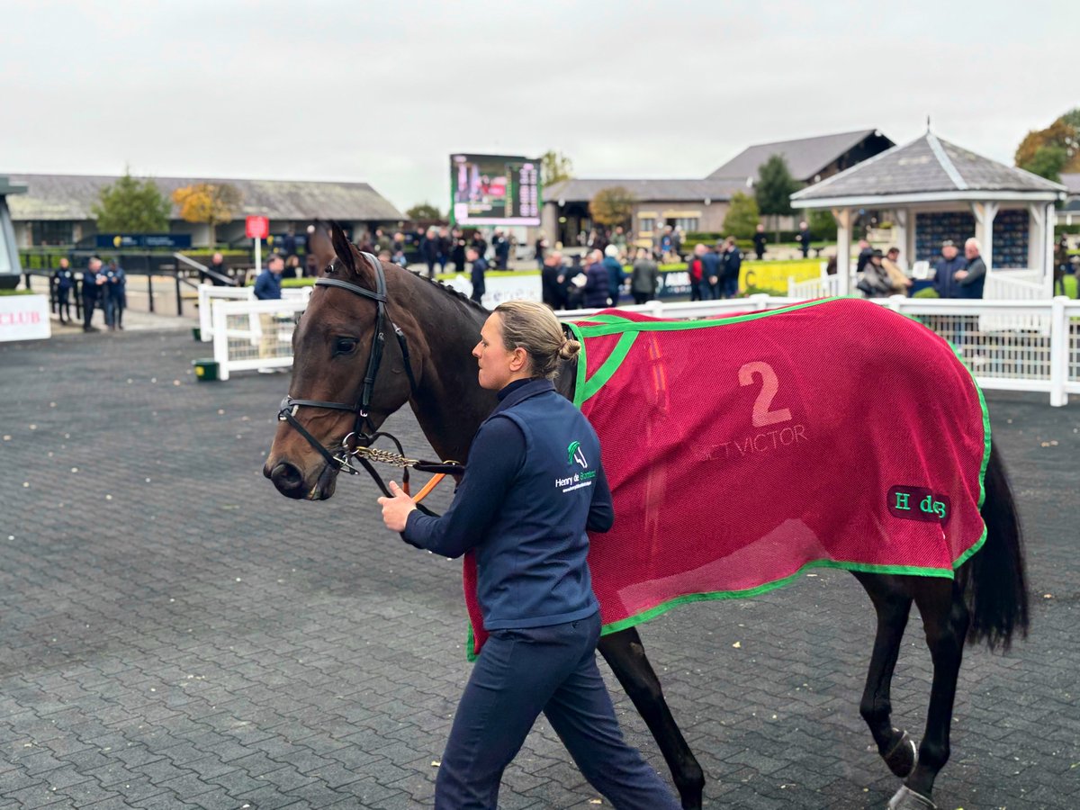 🟣 Gameball 🟣 was a very good winner of the maiden hurdle today, I’m sure he will be stepped up into a graded company in his next start. Be interesting to see now how the Slattery bumper winners get on now with new owners and trainers.