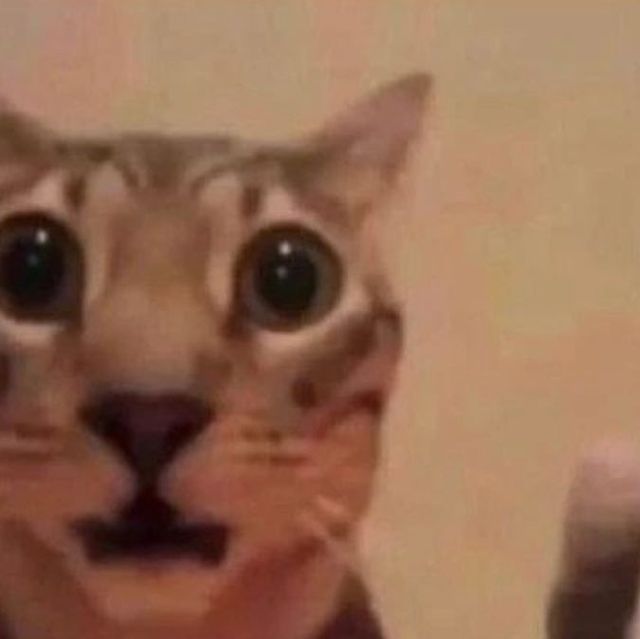 Dibujantes cuando realmente tienen que dibujar y no procastinar en tik tok: