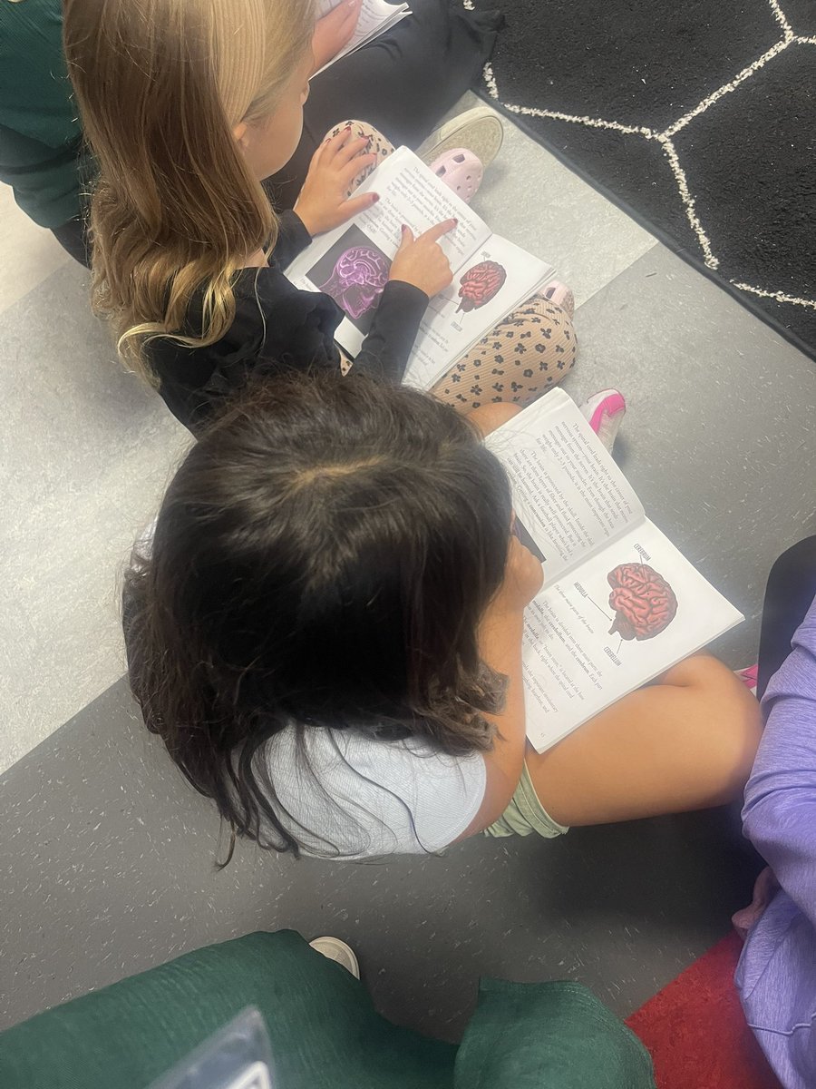 Students in 3rd grade reading about the brain in CKLA! #wtetowerup