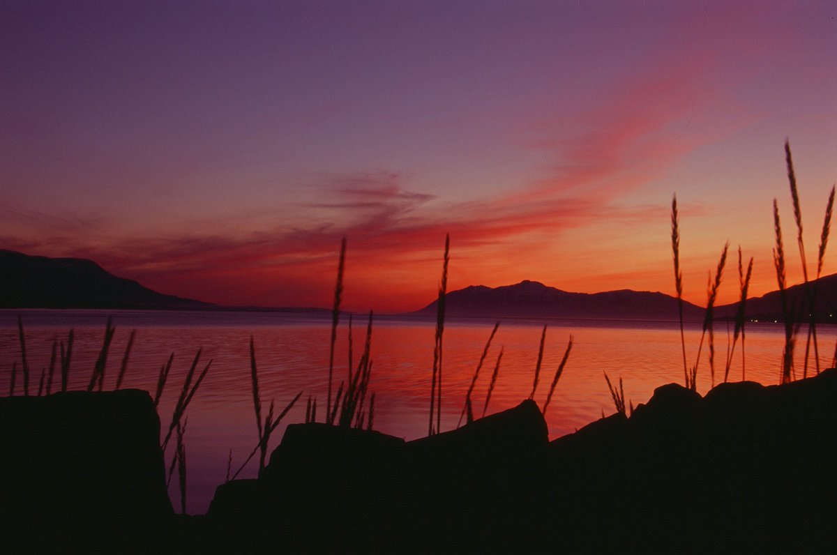 in all the chaos from moving I forgot to recover this roll from the lab and now it's lost forever