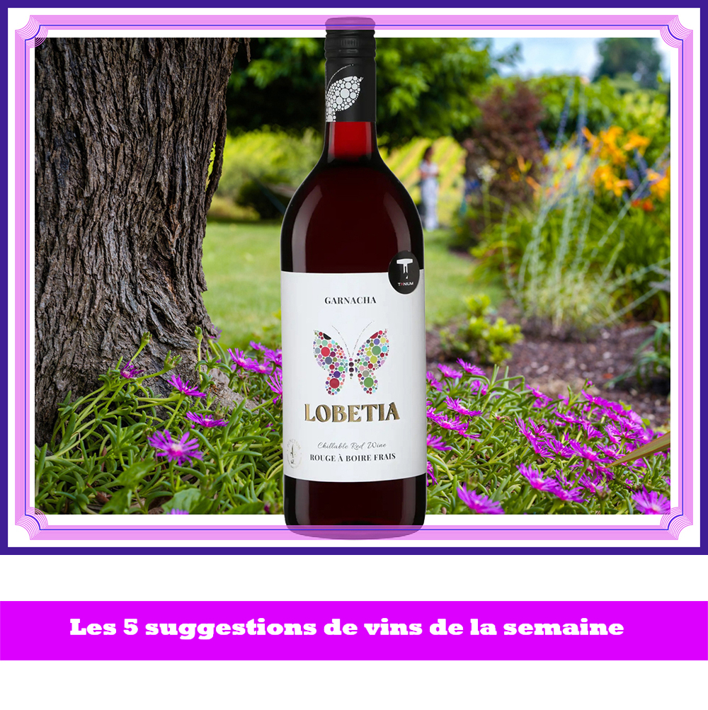 .
Ce #vin bio 🌿 espagnol de Garnacha disponible en format de 𝟏 𝐥𝐢𝐭𝐫𝐞 qui se boit bien frais, fait partie des 5 #vins que je vous invite à essayer cette semaine (16,50$ dans 50 succursales). 𝐕𝐨𝐲𝐞𝐳-𝐥𝐞𝐬 𝐭𝐨𝐮𝐬 𝐢𝐜𝐢  👉 👉 bit.ly/5-VINS-10-10-25 #wine 
.