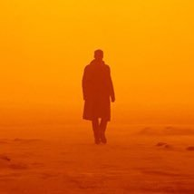 HalilXBT tweet media