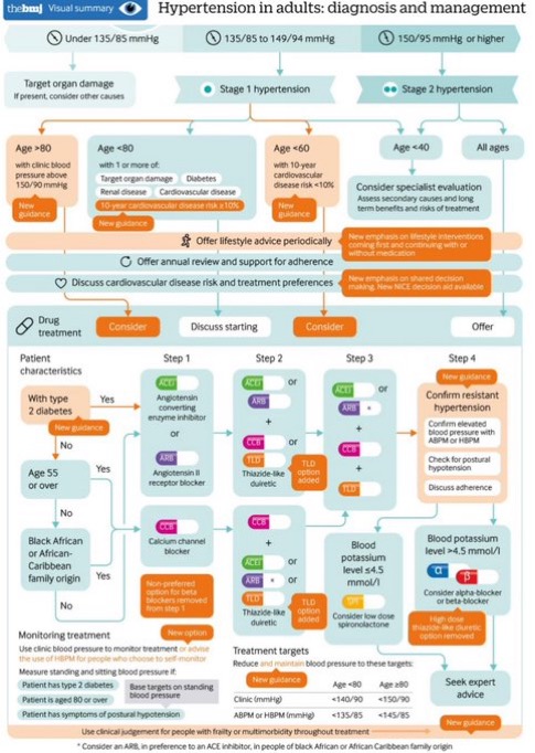 CardioNotion's tweet image. 📋Diagnóstico y manejo de la hipertensión: resumen de las guías del NICE del Reino Unido 👇

#cardiologia #HTA #CardioEd