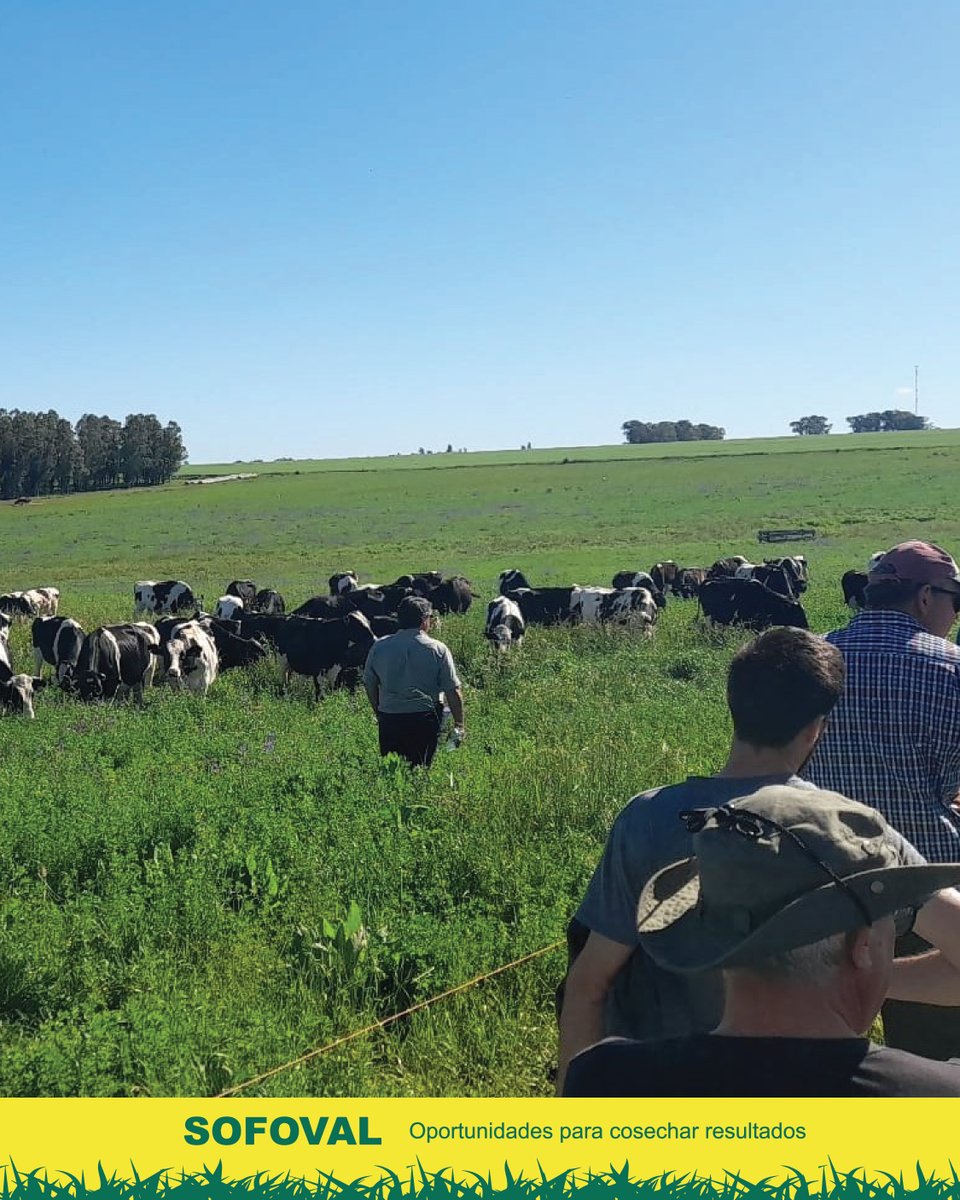 Se llevó a cabo la actividad en el establecimiento de la familia Talmón-Delgado en Colonia Miguelete. 
Un importante marco de público nos acompañó revelando el espíritu inquieto de los productores de la región. 

Gracias a todos quienes lo hicieron posible.