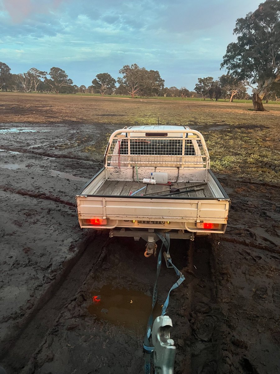 Tom Rymill tweet media